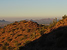 photo thumbnail #3