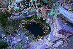 Featured Detail Photo