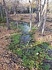 Featured Full Photo