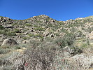 photo thumbnail #8