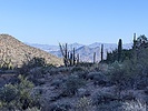 photo thumbnail #4