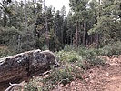 photo thumbnail #6