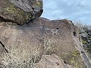 photo thumbnail #6