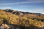 photo thumbnail #5