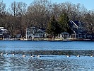 photo thumbnail #9