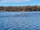 photo thumbnail #11