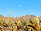 photo thumbnail #4