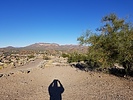 photo thumbnail #2