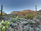photo thumbnail #11