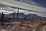 photo thumbnail #14