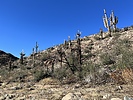 photo thumbnail #5