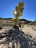 photo thumbnail #10