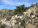photo thumbnail #12