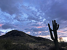 photo thumbnail #2