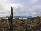 photo thumbnail #4