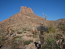 photo thumbnail #15