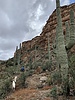 photo thumbnail #7