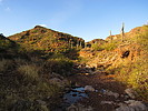 photo thumbnail #9