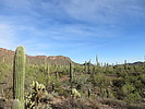 photo thumbnail #2