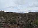 photo thumbnail #6