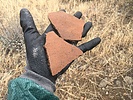 photo thumbnail #4