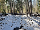 photo thumbnail #1