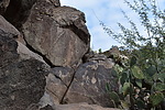 photo thumbnail #8