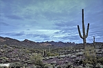 photo thumbnail #3