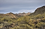 photo thumbnail #12
