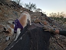 photo thumbnail #2