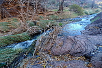 photo thumbnail #5