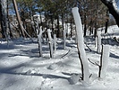 photo thumbnail #10
