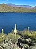 photo thumbnail #11