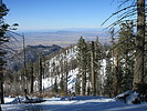 photo thumbnail #15