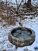 photo thumbnail #12