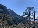 photo thumbnail #11