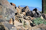 photo thumbnail #4