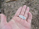 photo thumbnail #12