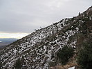 photo thumbnail #13
