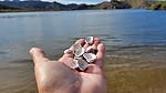 photo thumbnail #14