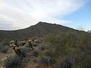 photo thumbnail #5
