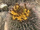 photo thumbnail #13