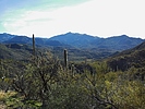 photo thumbnail #4