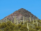 photo thumbnail #11