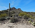 photo thumbnail #15