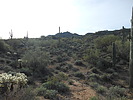 photo thumbnail #3