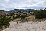 photo thumbnail #15