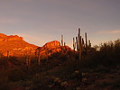 photo thumbnail #3