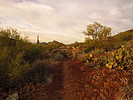 photo thumbnail #5