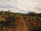 photo thumbnail #8